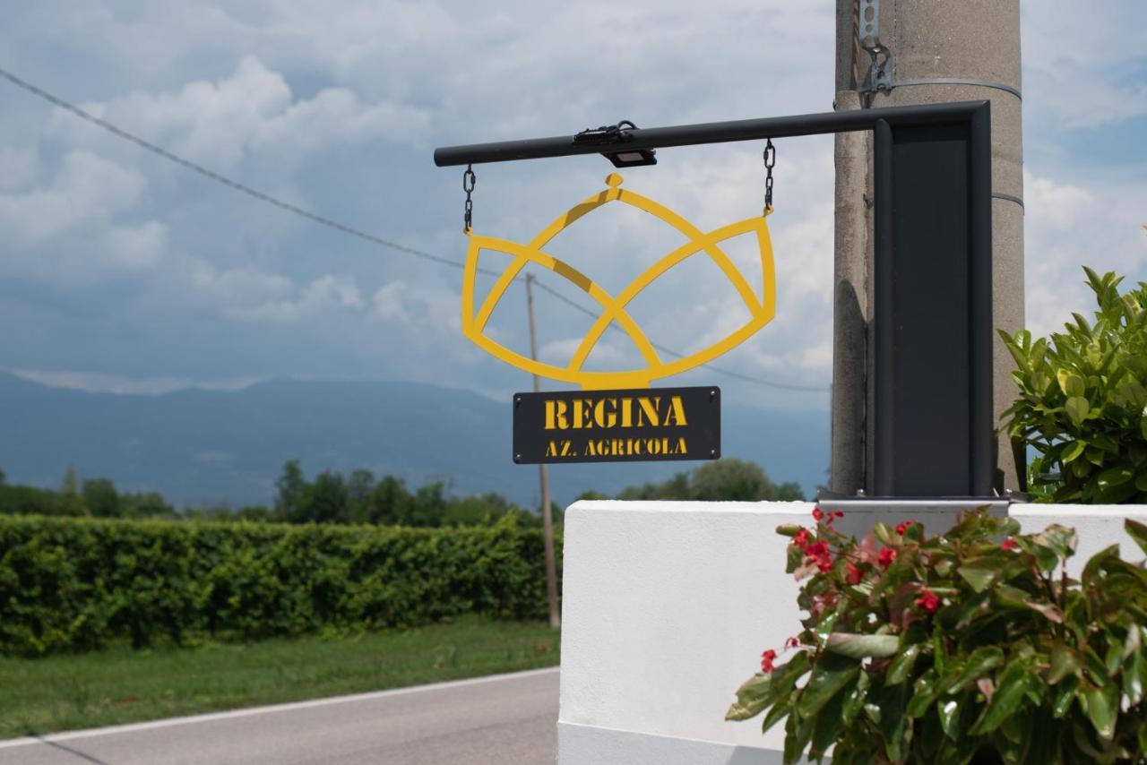 Codognè Regina Nel Cuore Del Veneto المظهر الخارجي الصورة